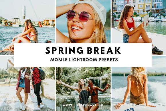 [Creativemarket] Spring Break Mobile Lightroom Pre_0.jpg